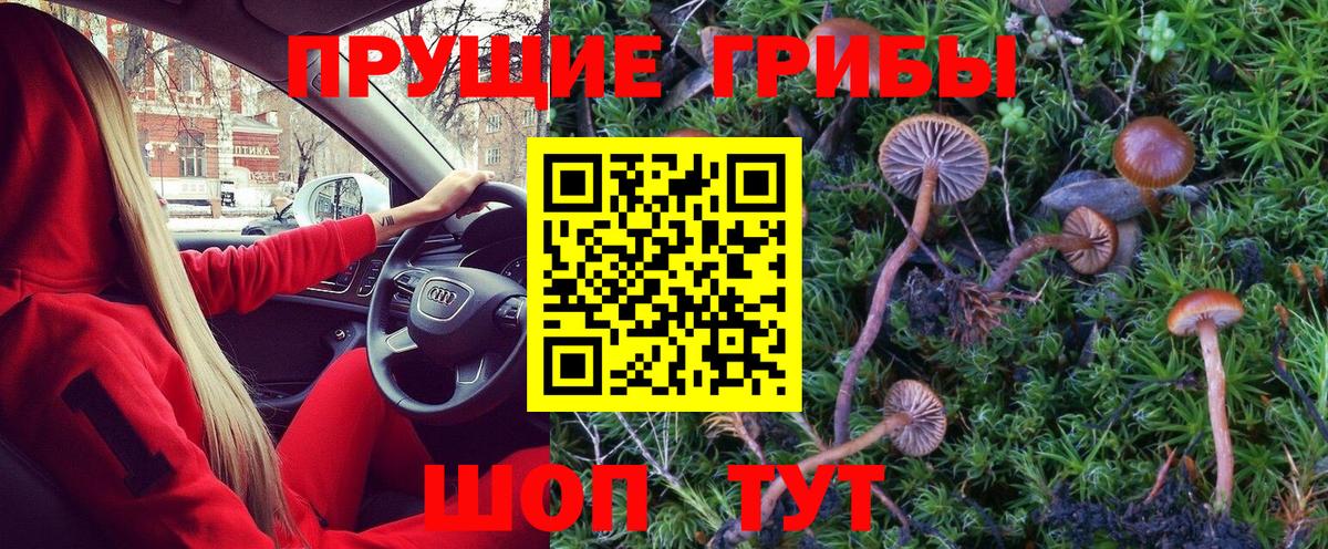 Псилоцибиновые грибы Psilocybe  Вход с VPN  Ростов-на-Дону 