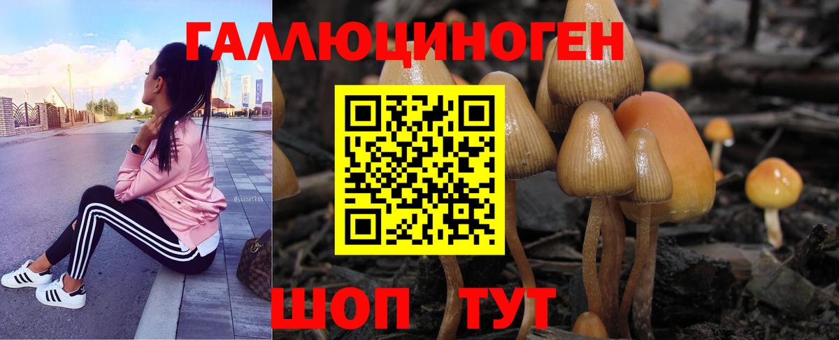 Галлюциногенные грибы GOLDEN TEACHER Ростов-на-Дону